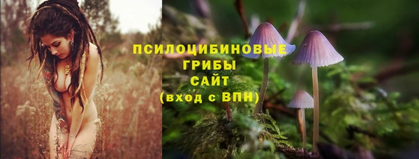 дмт Волоколамск