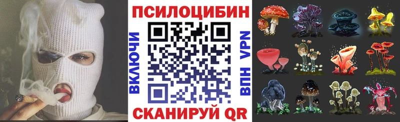 ОМГ ОМГ маркетплейс  площадка состав  Галлюциногенные грибы Psilocybe  Чусовой 