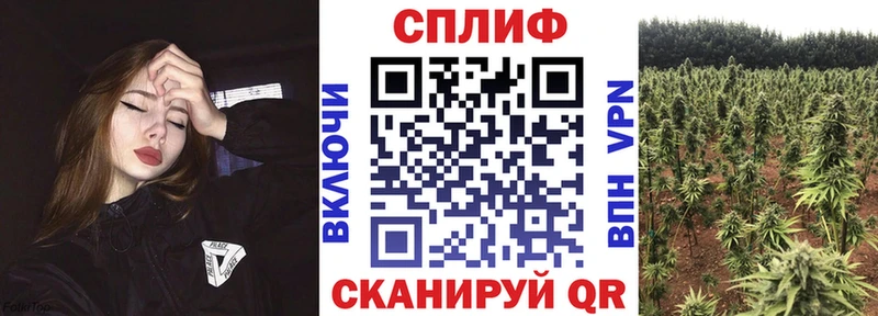 Бошки марихуана Bruce Banner  Чусовой 